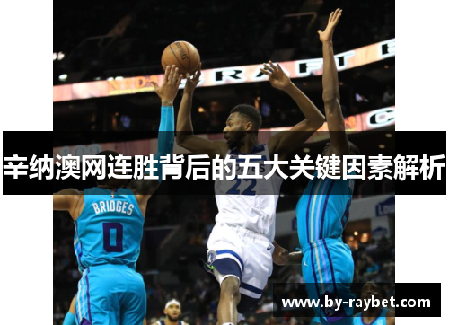 辛纳澳网连胜背后的五大关键因素解析 辛纳澳网连胜背后的五大关键因素解析