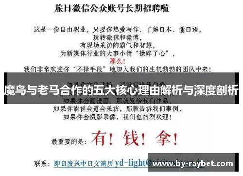 魔鸟与老马合作的五大核心理由解析与深度剖析