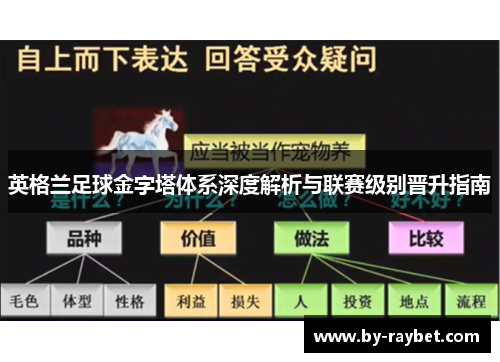 英格兰足球金字塔体系深度解析与联赛级别晋升指南